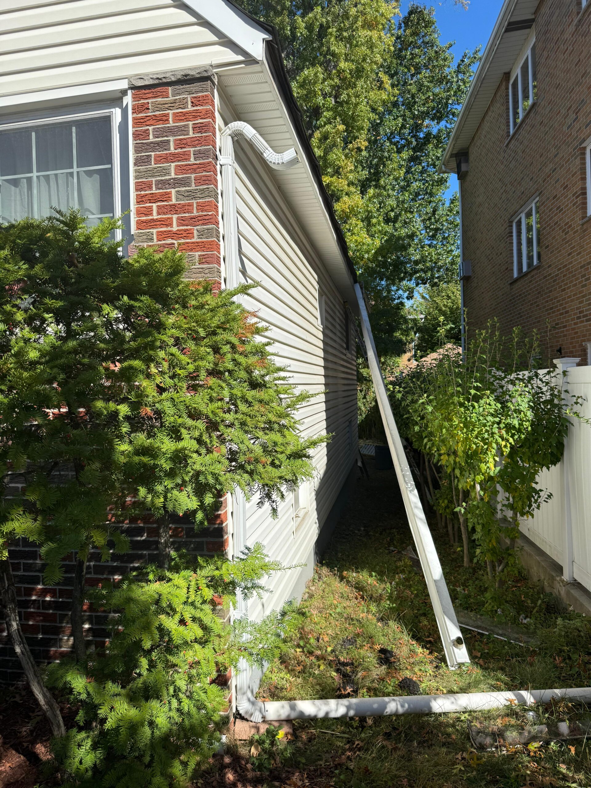 WhatsApp Image 2026-03-10 at 7.23.38 PM (2)